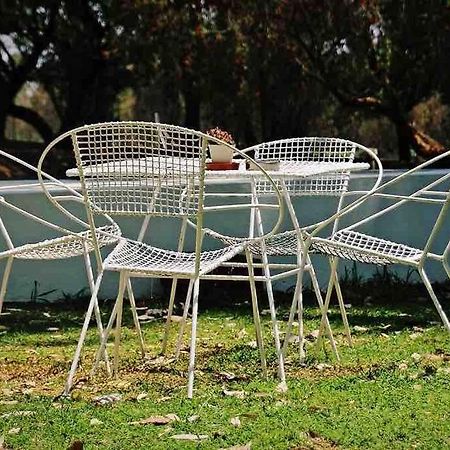 Hot Spring Bungalow In Limpopo Gemsbokfontein Buitenkant foto