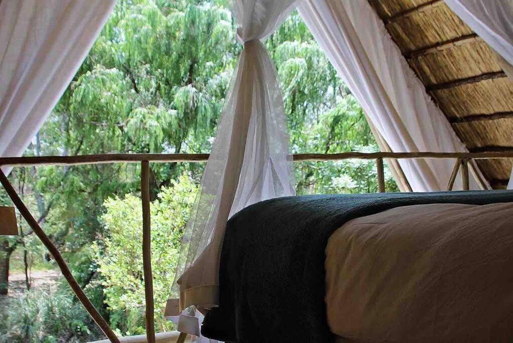 Hot Spring Bungalow In Limpopo Gemsbokfontein Buitenkant foto