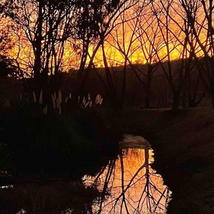 Hot Spring Bungalow In Limpopo Gemsbokfontein Buitenkant foto